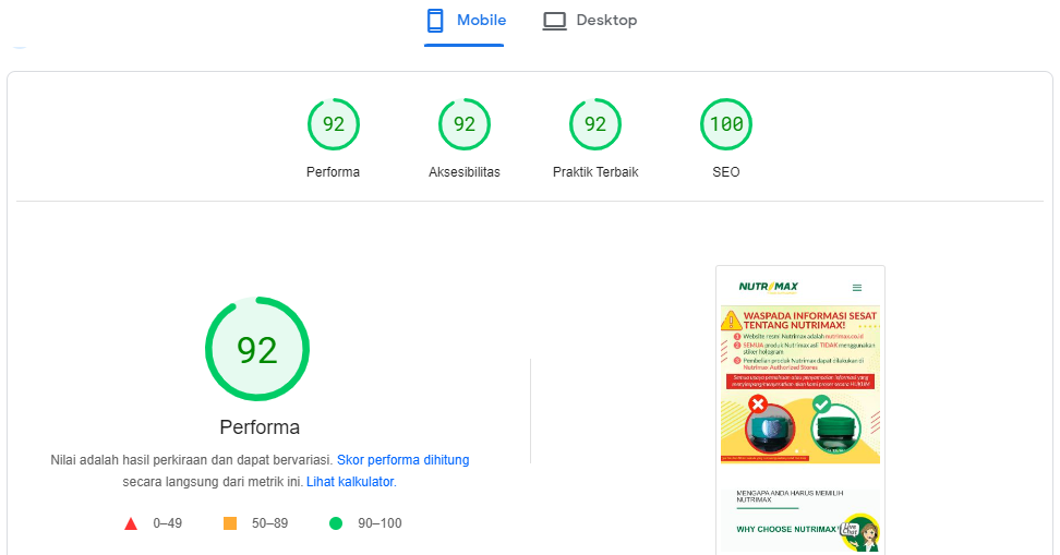 Jasa Pembuatan Website Murah Lampung Google Page Speed Mobile Version