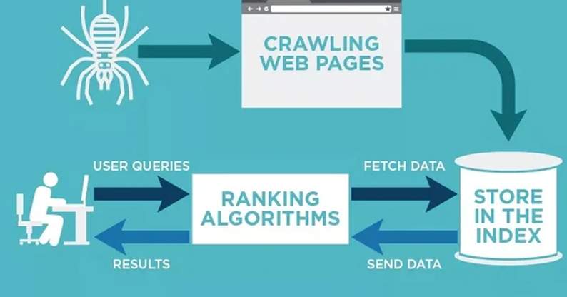 Apa Itu Crawler dan Indexing ?