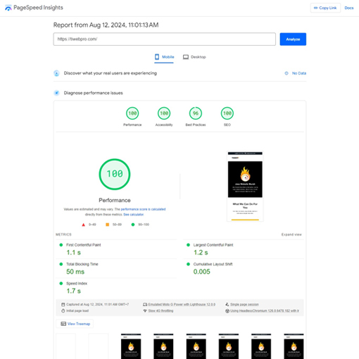 google page speed mobile tiwebpro.com